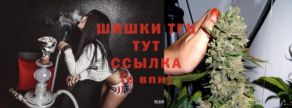 гашик Новосибирск