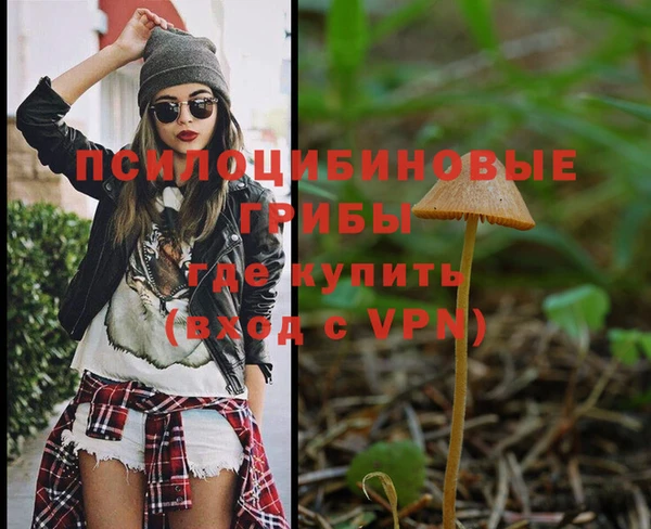 гашик Новосибирск